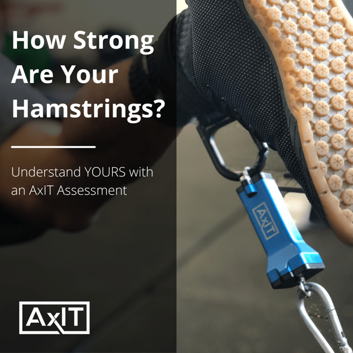 howstrongareyourhamstrings